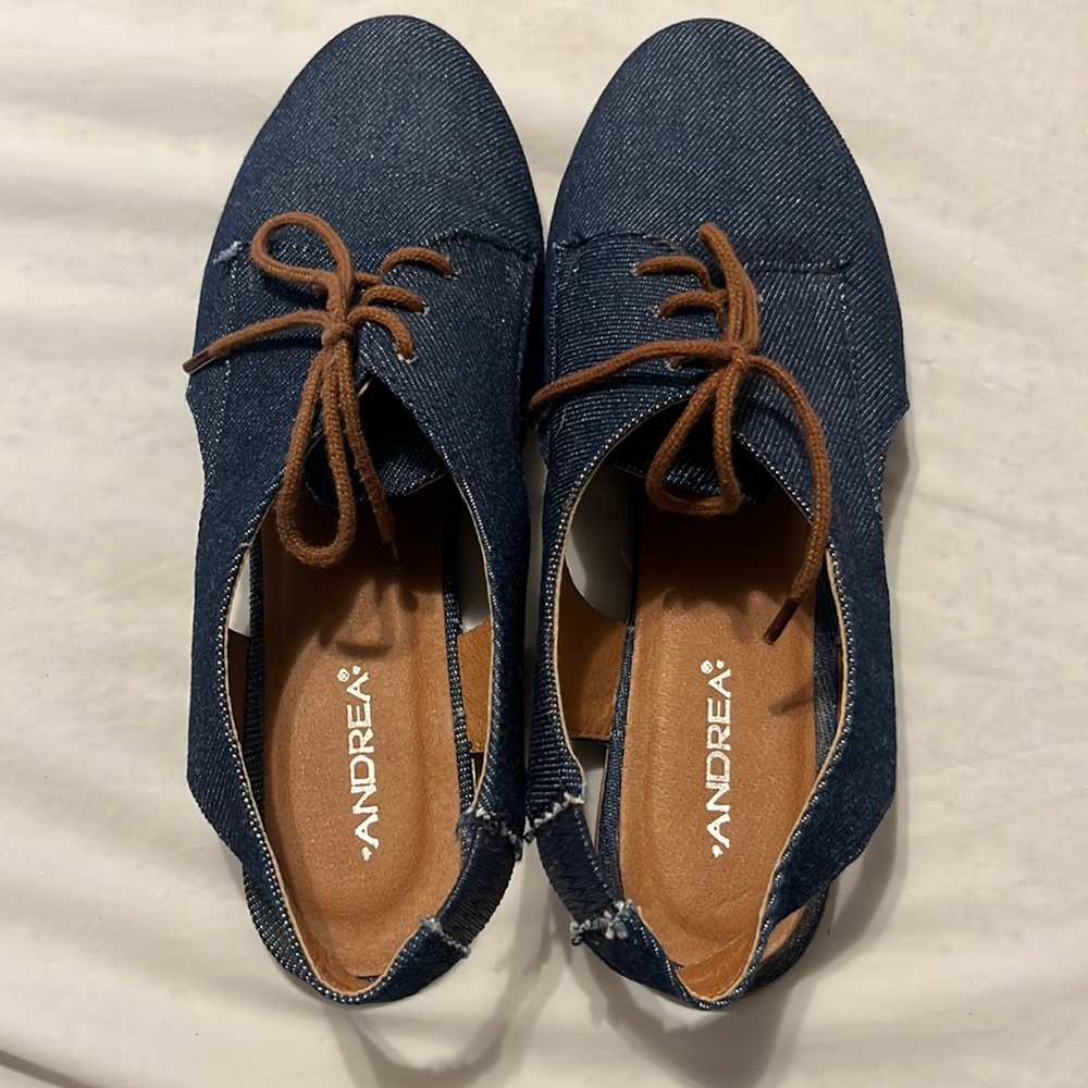 Blue and brown Andrea Shoes